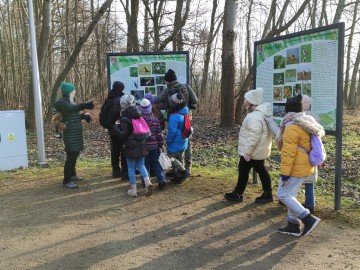 Spacer po Sieradzu w ramach Zimowego Ptakoliczenia 2025, 